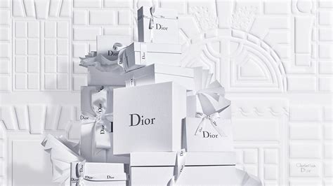 chis dior|official christian Dior website.